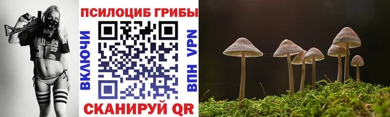 как найти наркотики  мега рабочий сайт  Псилоцибиновые грибы ЛСД  Нариманов 